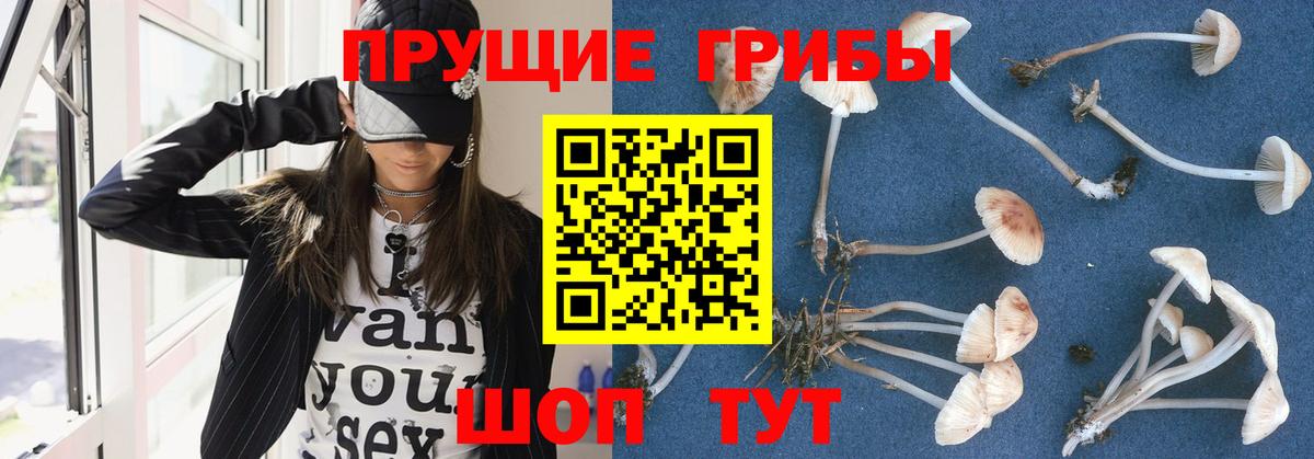 Галлюциногенные грибы прущие грибы Когалым