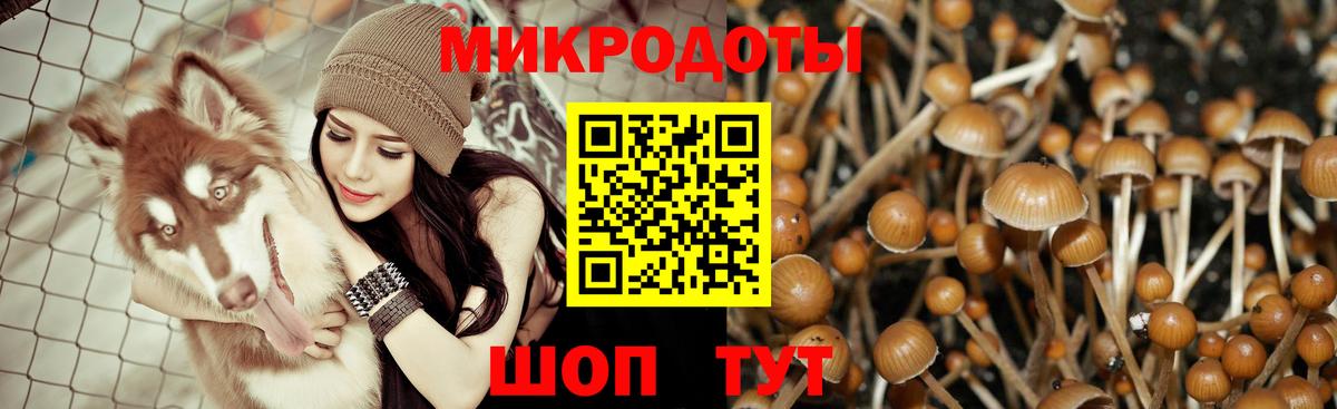 даркнет сайт  Псилоцибиновые грибы Psilocybine cubensis  Когалым  Вход с VPN  Псилоцибиновые грибы прущие грибы 